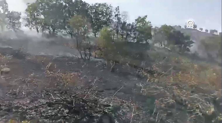 Bingöl'deki orman yangını söndürüldü 6
